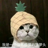 岁月