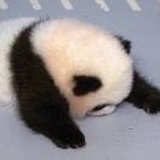 小曾