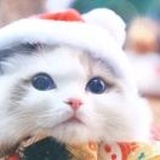 夫里居人