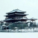 一树纸鹤
