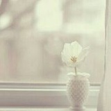 茶嫣花翎