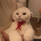 又是你啊
