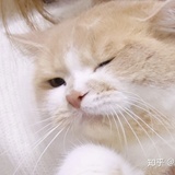 暴雨