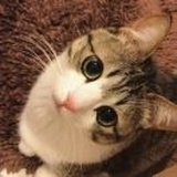 陈