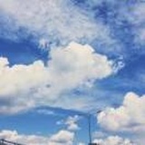 爱看天的熊猫兔
