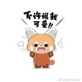 熊猫冰棒