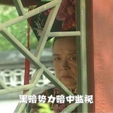 文静的男孩