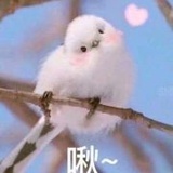长乐永年曈