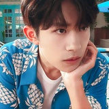 爱吃奶酪小餐包的左冷