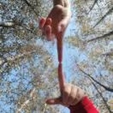 不成功便成仁