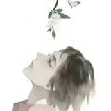 羽落飛虹