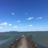 罗家莎莎