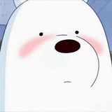 土豆的小可爱
