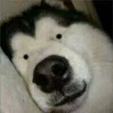 我确定
