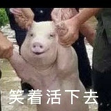 蕾子啊