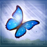 weixi