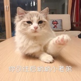 慢慢