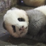 赏心乐事