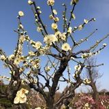 豆友190381365