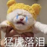 咿咿呀呀