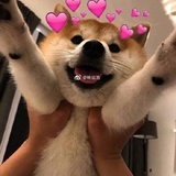 长生不老