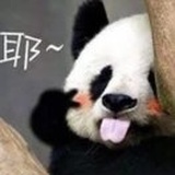 北坡