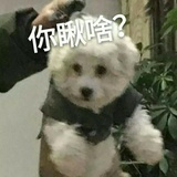 张小三
