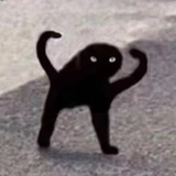豆友190466237