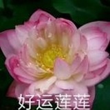 老陈皮