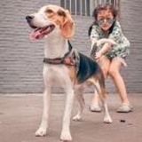 摩羯O型@丹阳