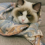 等