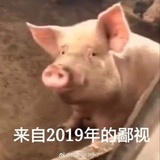 已被注册1536