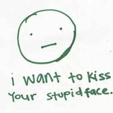 Stupid lover