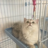 豆友190534490