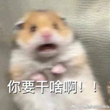 豆友190541414