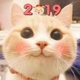 不瘦十斤不改名