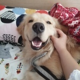 小春天