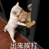 豆友190569554