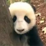 子不语