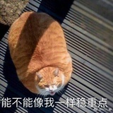 我可不困