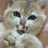 我浪