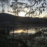 大明宫