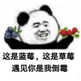 大脑宕机