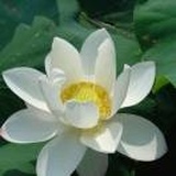 百态人生