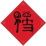 到处美女贴贴