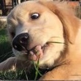 这是朕的江山