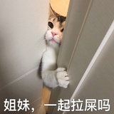 豆友1907