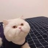 一片趣多多