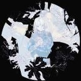 一只菜鸟