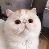 okfinebbb